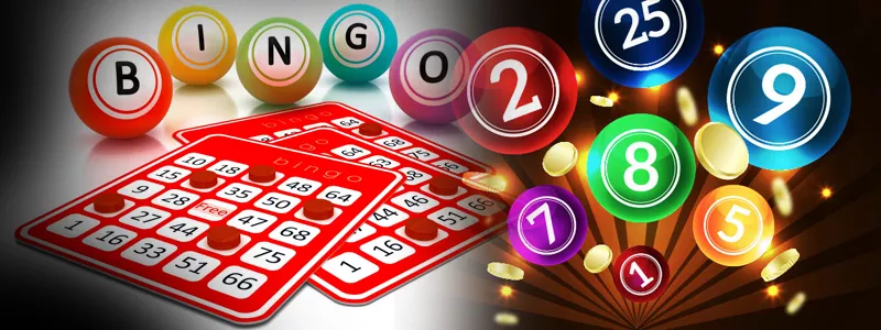 Top 10 Tips to Learn Bingo