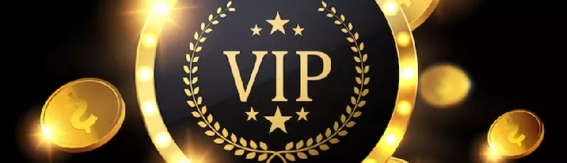 Levels and Benefits of the VIP Program